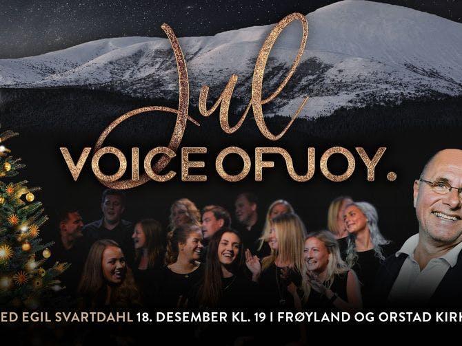 Voice of Joy og Thor Haavik