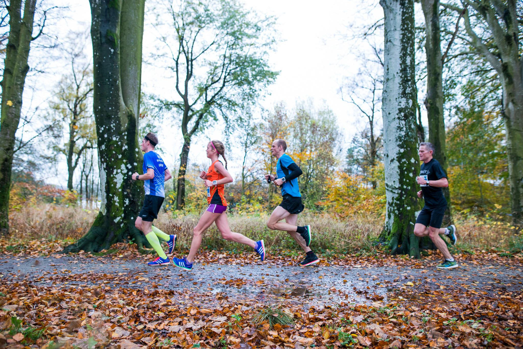 Group of people running in a race surrounded by autumn leaves and trees.