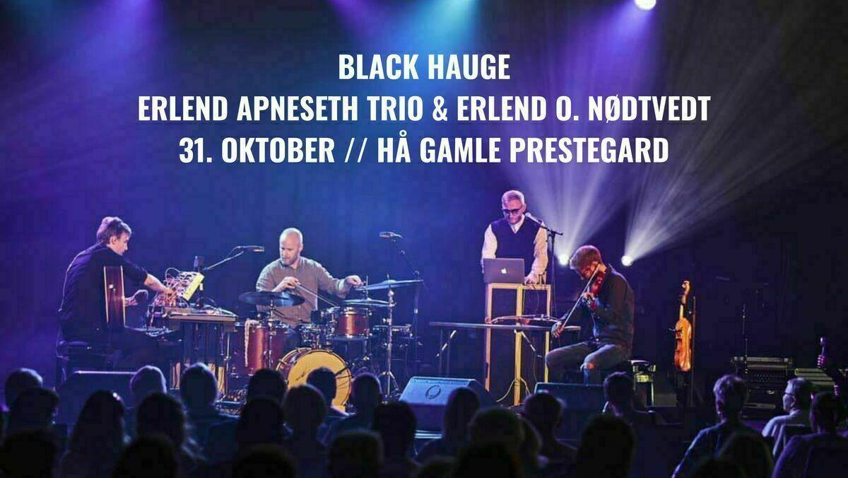 Erlend Apneseth Trio & Erlend O. Nødtvedt på scenen