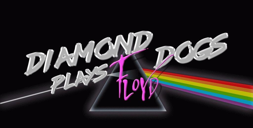 Plakat til Diamond Dogs plays Pink Floyd