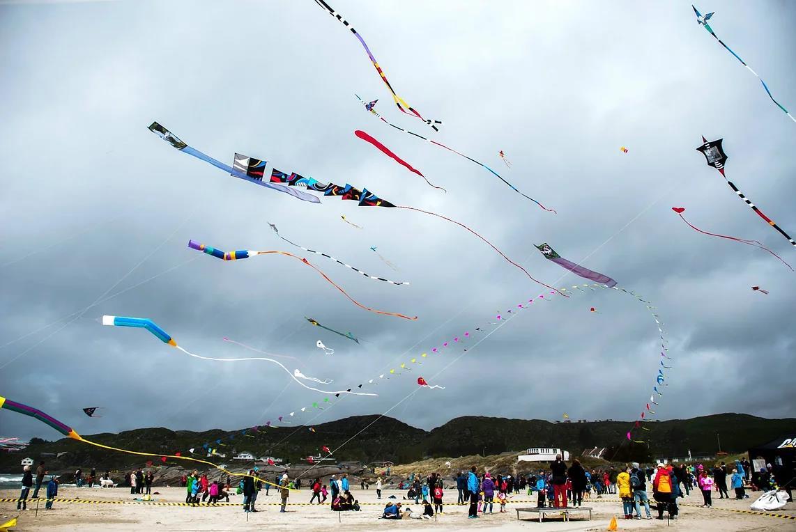 Kites in the air on the beach. Crowds of people