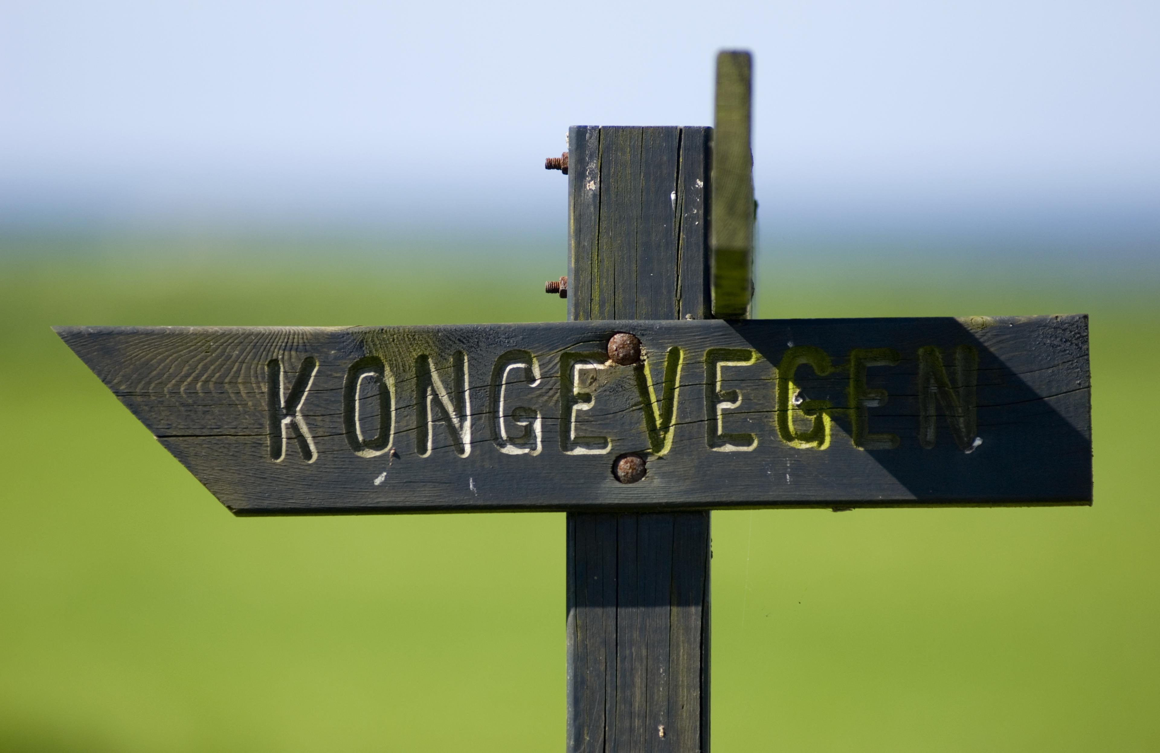 Kongevegen