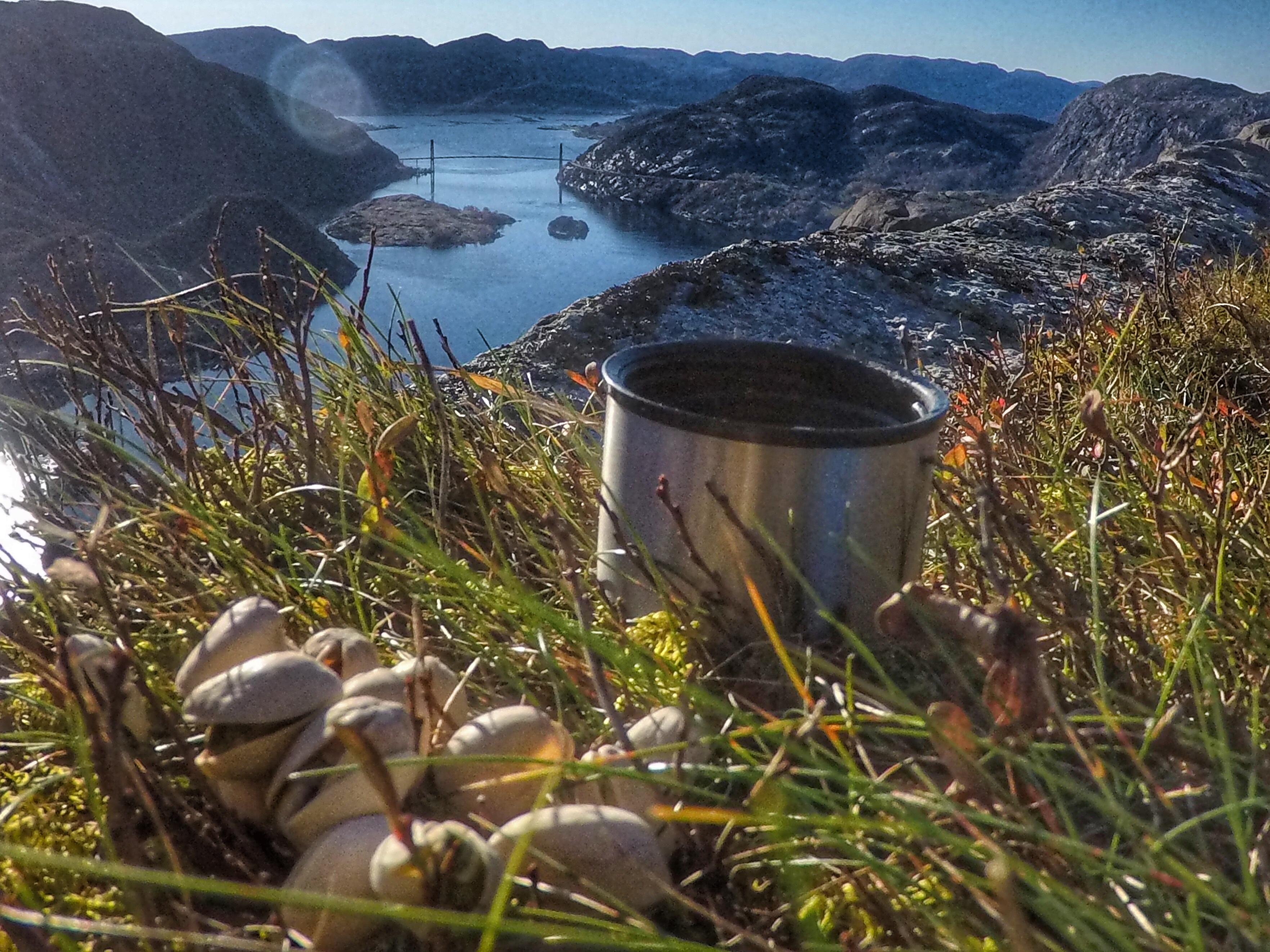 Guidede turer med Explore Lysefjorden