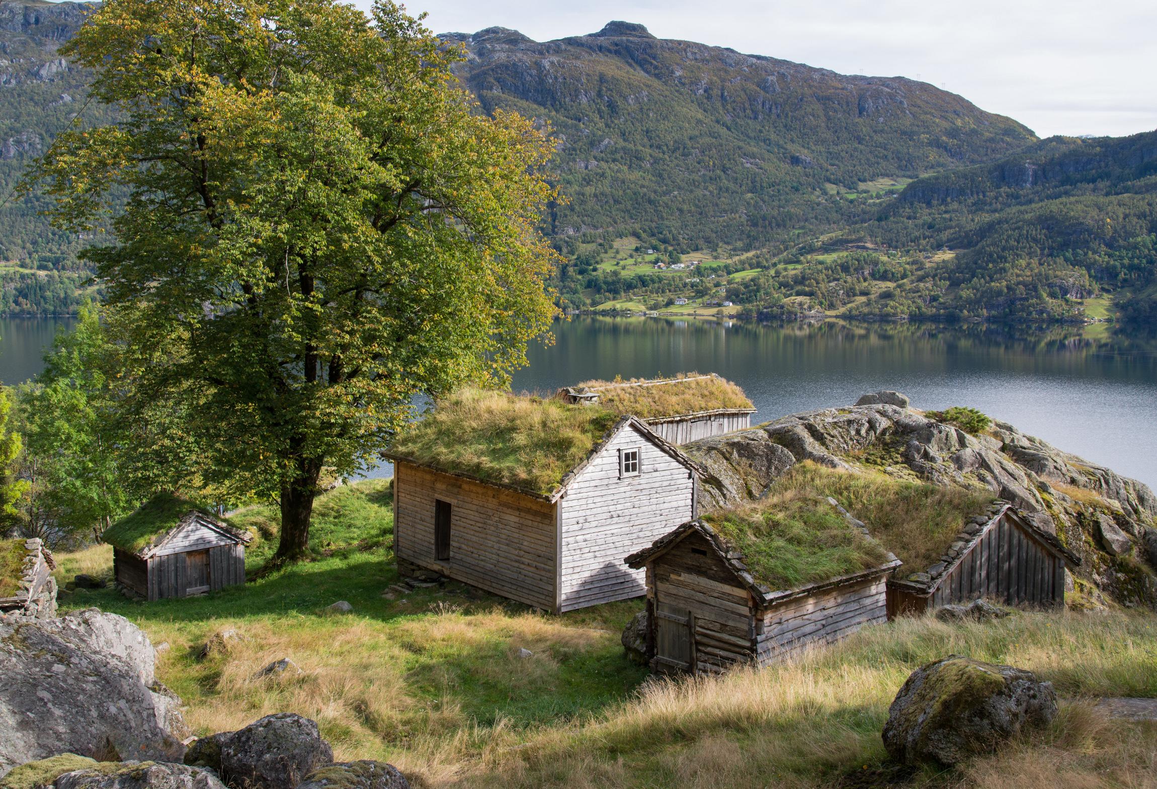 Røynevarden