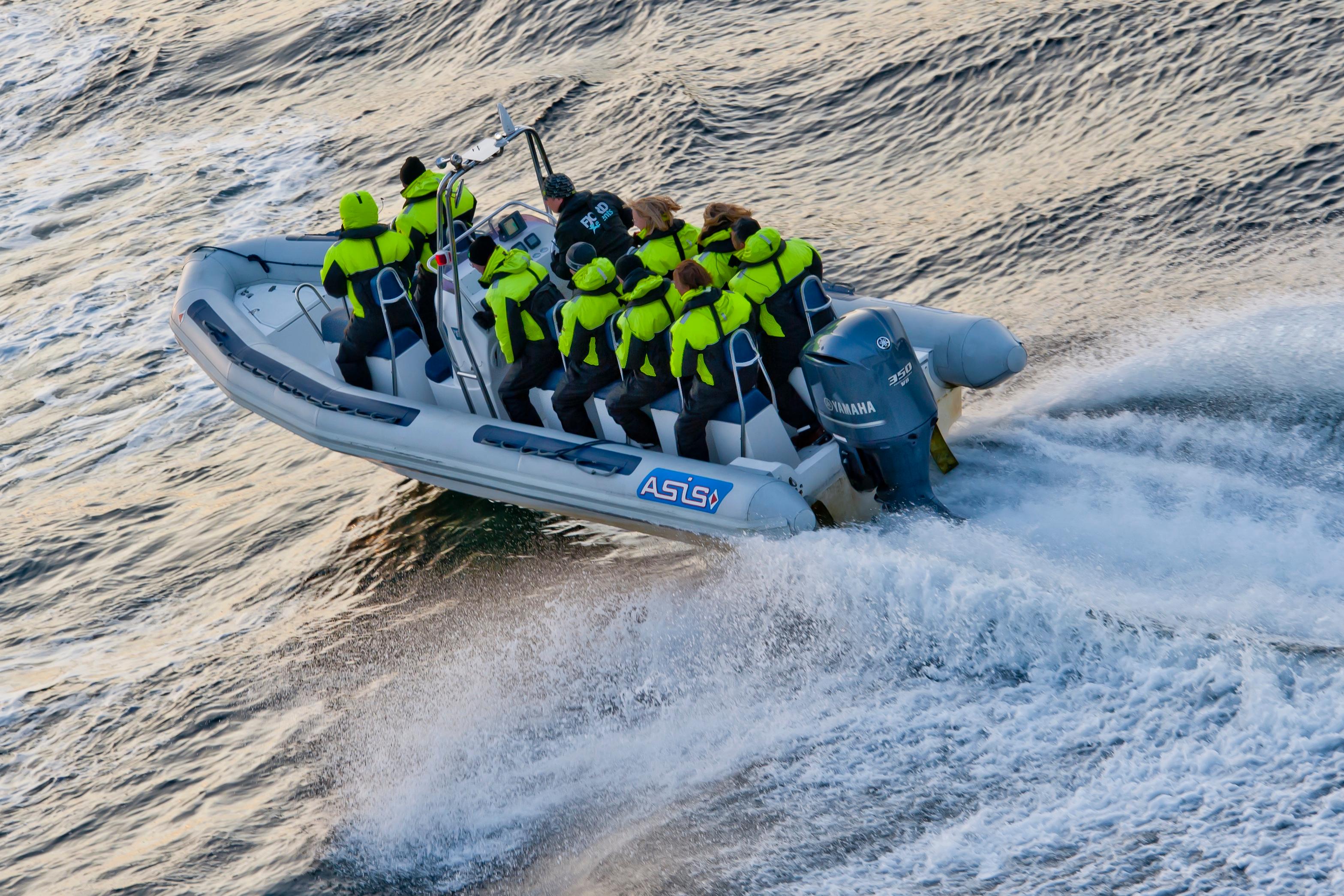 Lysefjord Safari Premium RIB Tour