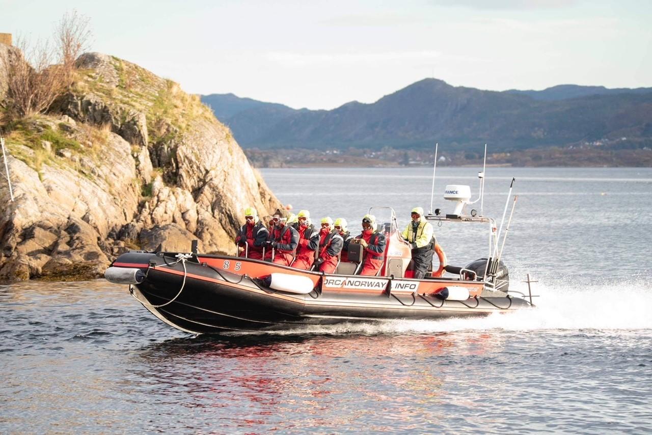 RIB Safari med Strømsholmen Sjøsportsenter på Altanterhavsveien