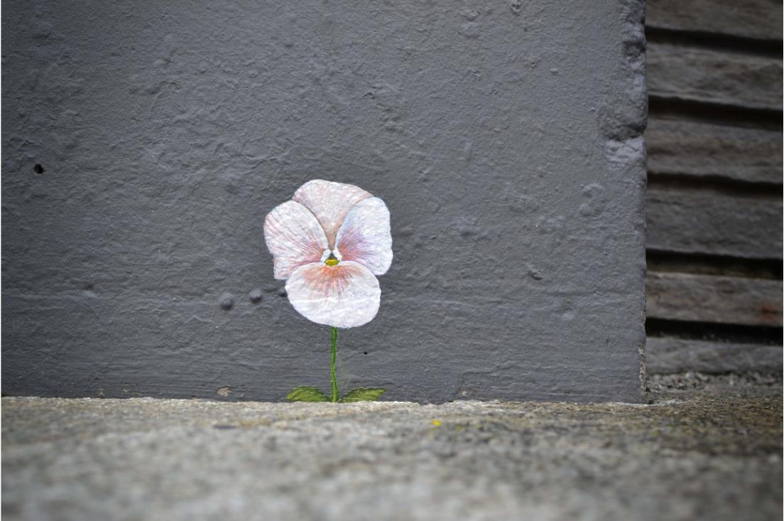 Stavanger Street art: “Beaten!” – The Pansy Project by Paul Harfleet