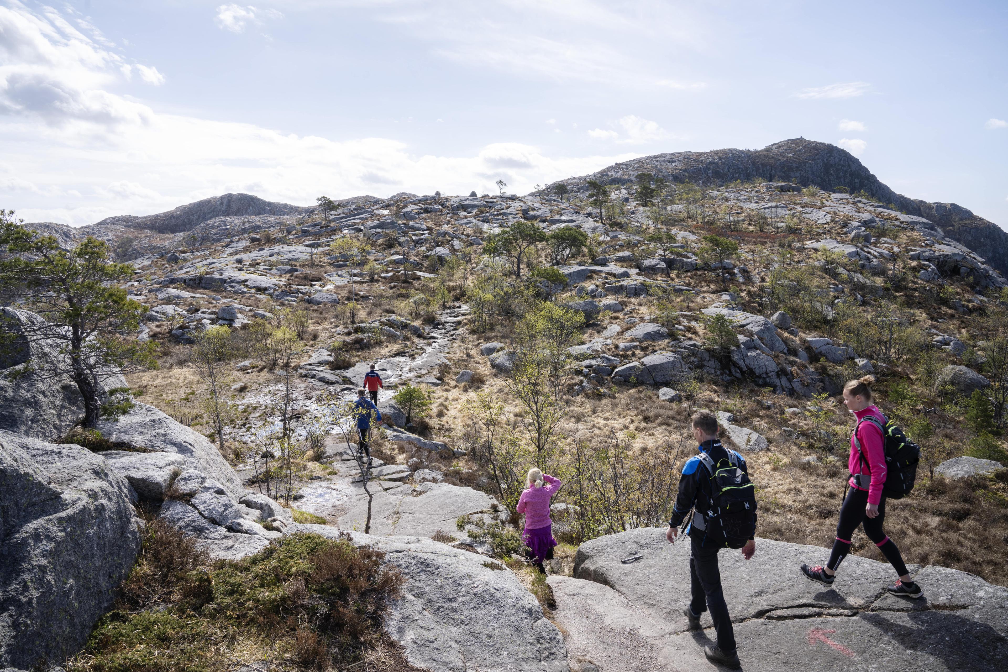 Vårlivarden