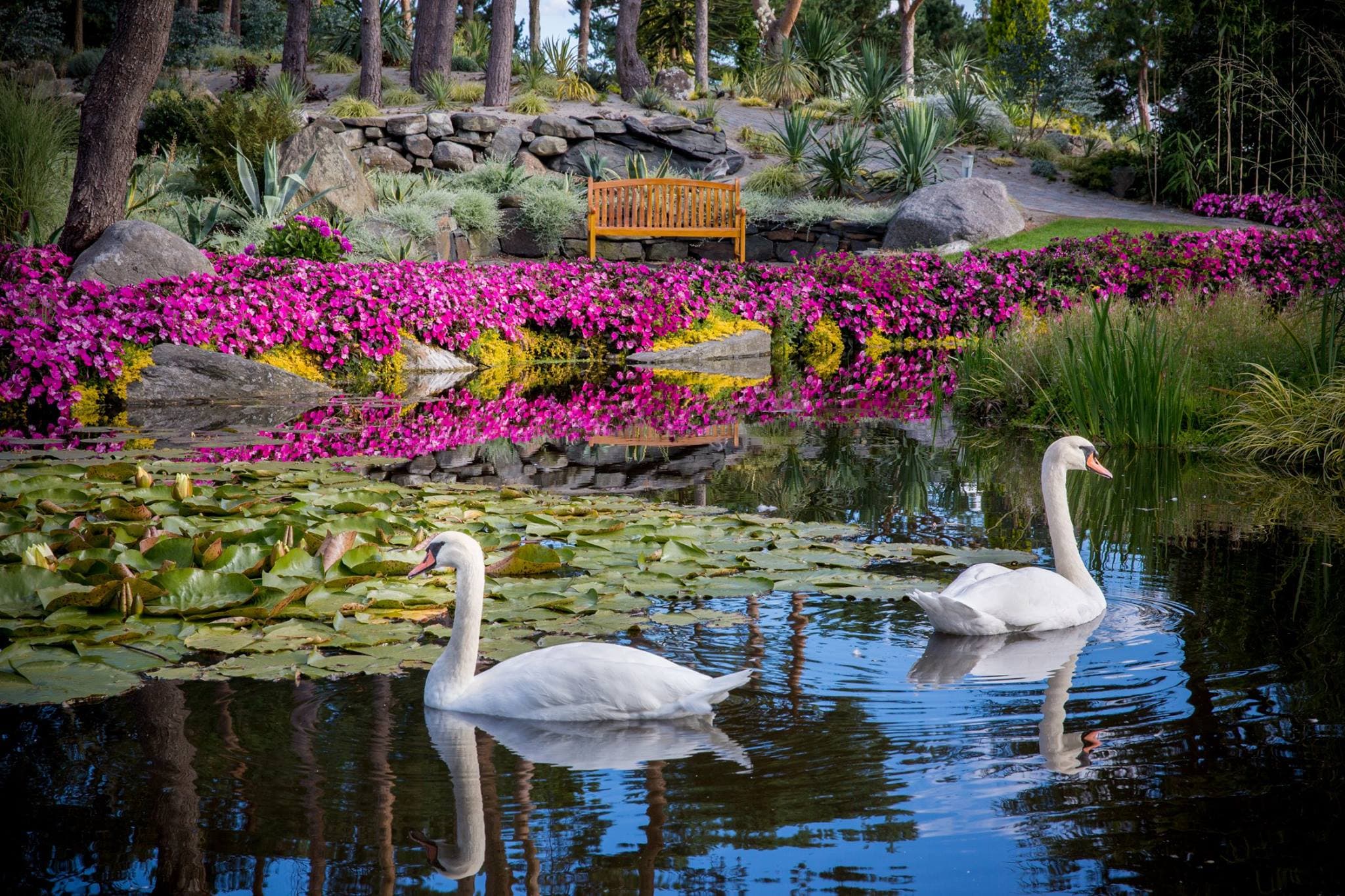 The floral gardens Flor & Fjære