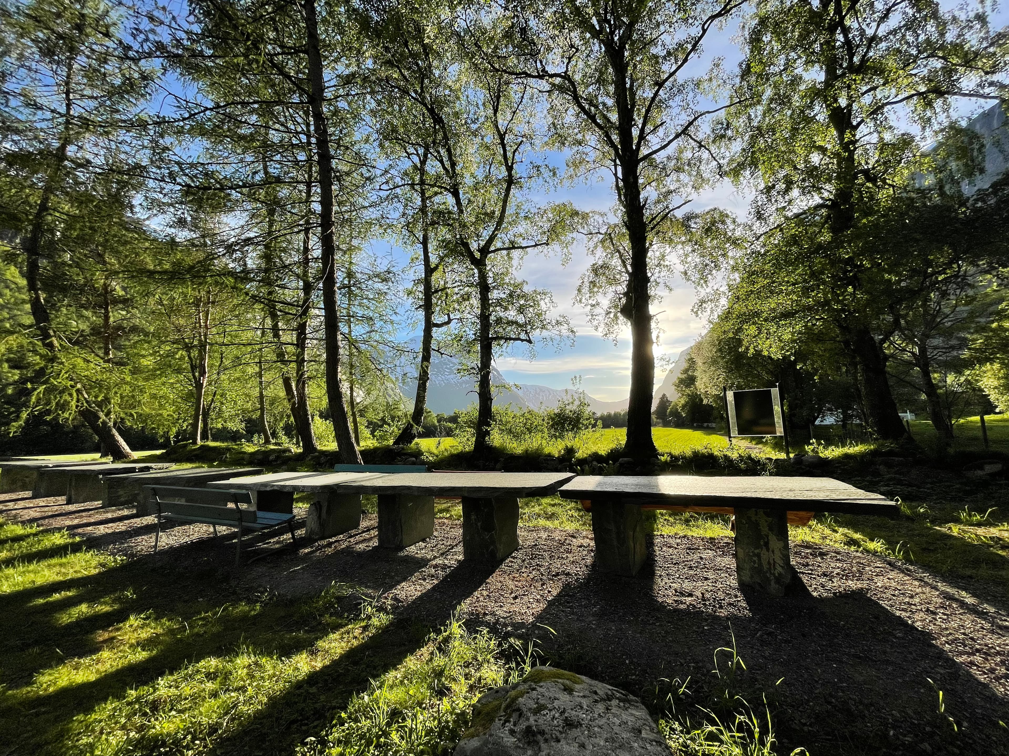 benker og omgivelser på Phillpshagen