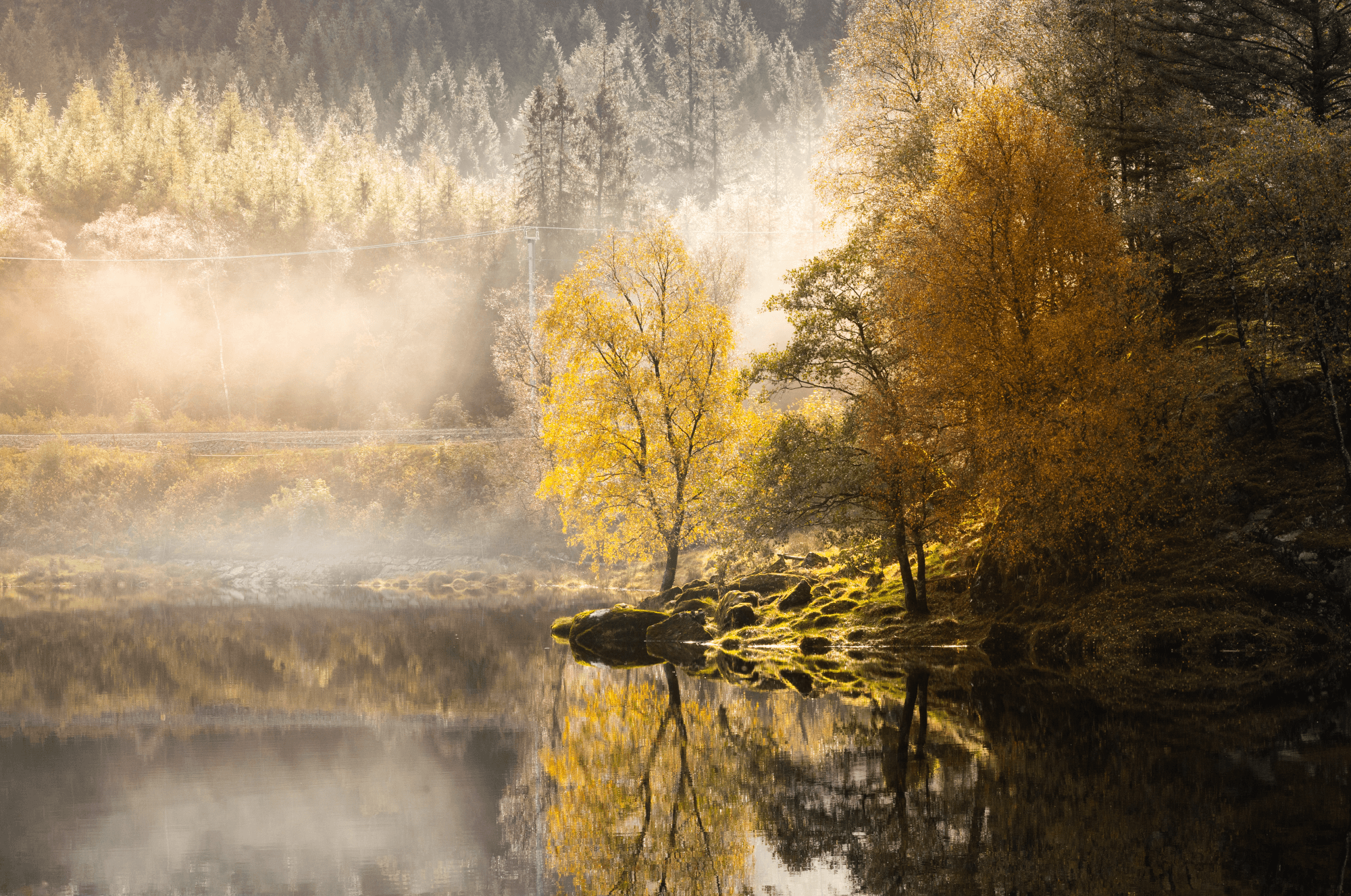 Lake, with tree surroundings in autumn colours